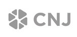 CNJ digital